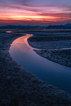 黄昏夕阳退潮后的滩涂