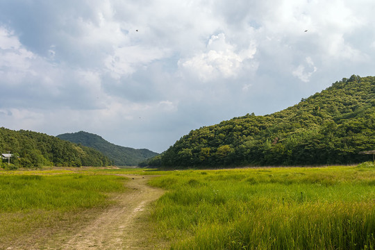 高山草甸风光