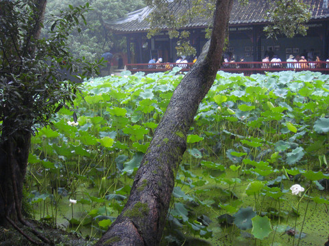 成都武侯祠