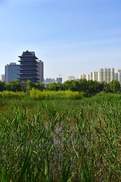 蘭州濕地公園