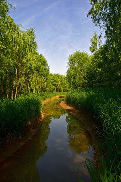 兰州湿地公园