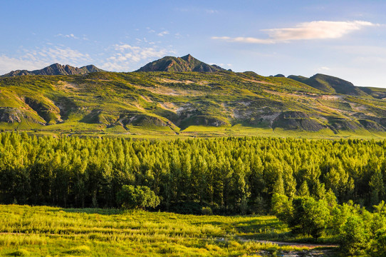 锡林郭勒美景