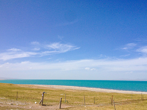 青海湖风光