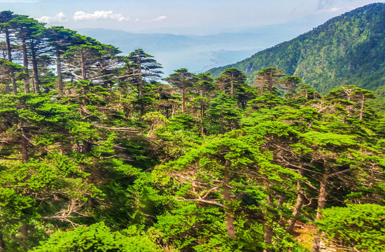 苍山洗马潭景区