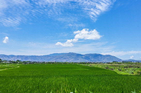 泸沽湖