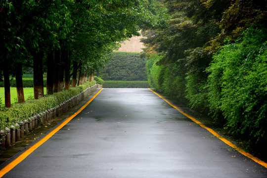 雨花台风光