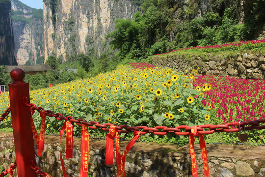 旱夔门旅游风景点图片