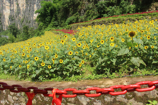 旱夔门旅游风景点图片