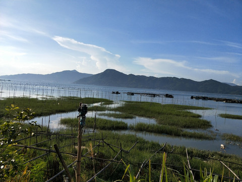 海边湿地