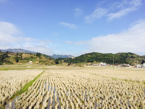 田园风光