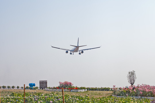 四川成都双流区空港花田飞机降落