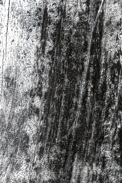 千年枯木木纹纹