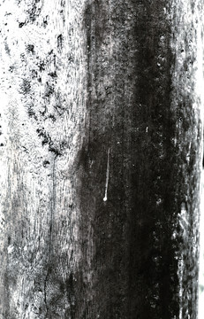 千年枯木木纹纹