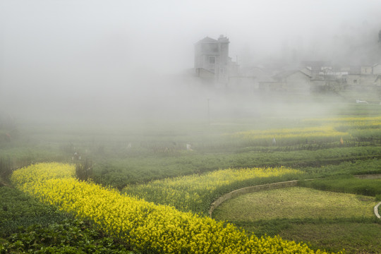 云南小山村风光