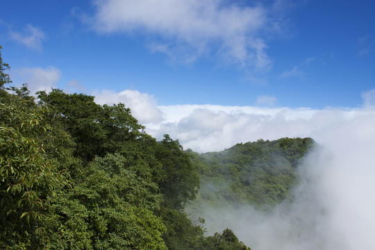 山顶风光