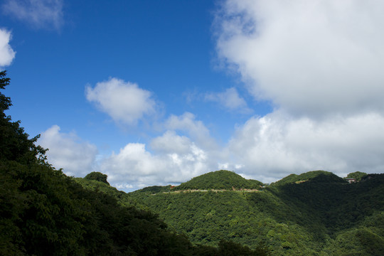 山顶风光