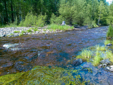 森林溪流小河