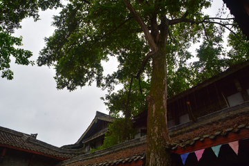 黄龙溪古镇风景