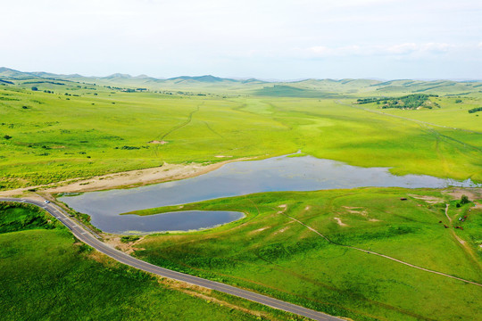 内蒙古乌兰布大草原统野鸭湖