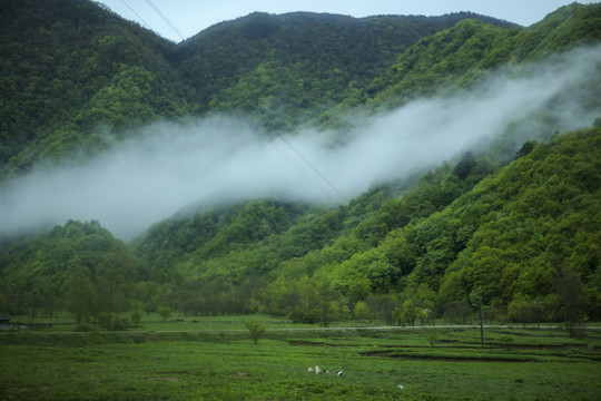 大九湖