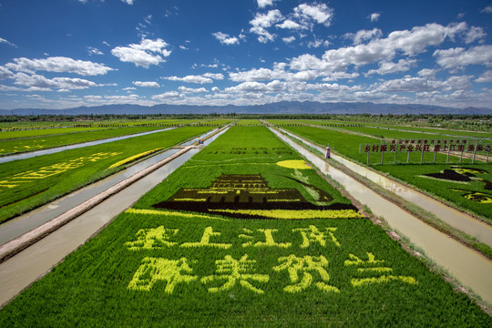 贺兰稻渔空间