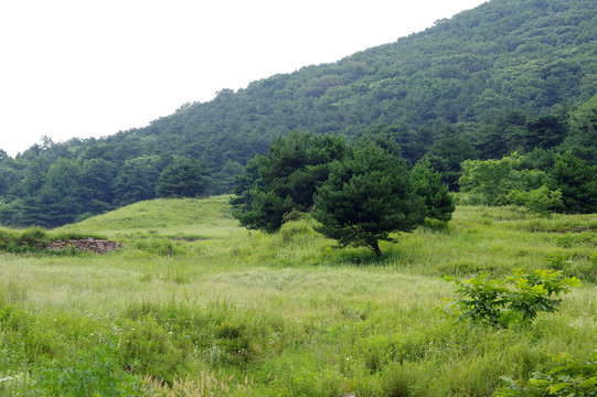 太行山风光