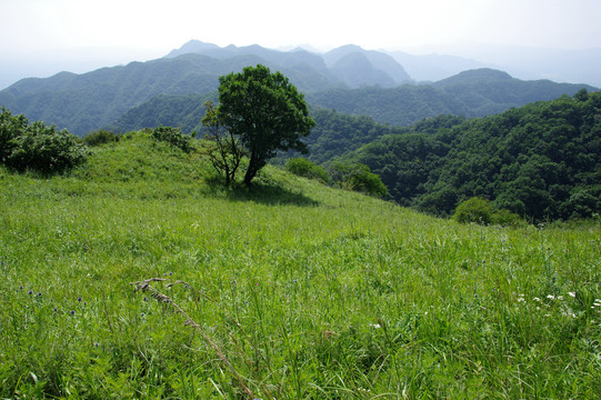 太行山风光