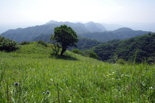 太行山山顶草原