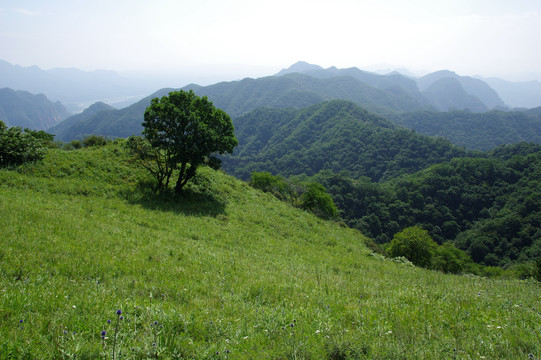 太行山风光