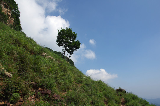 太行山风光