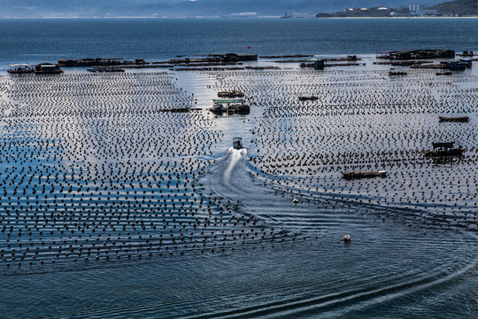 海上鱼箱养殖