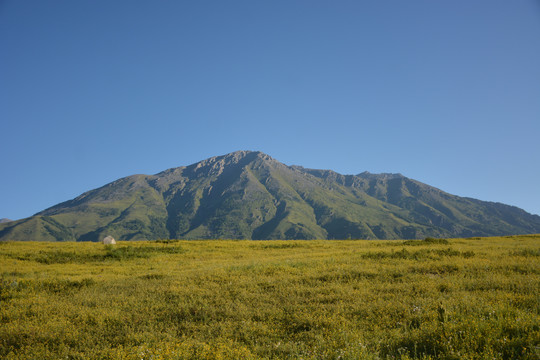 花海与大山