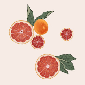 水果橙子手绘装饰图案元素