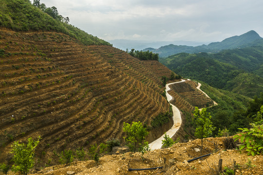 五龙梯田风光