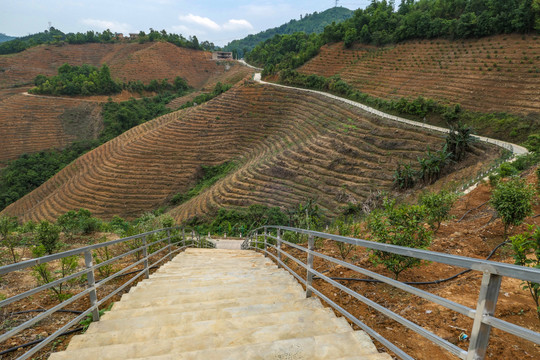 五龙梯田风光