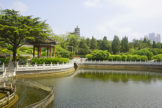 青岛湛山寺莲花池