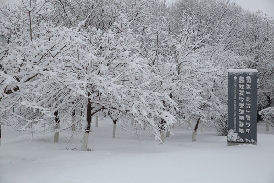 大雪