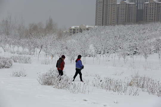 大雪