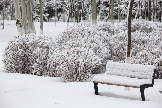 大雪