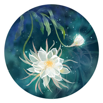 曇花