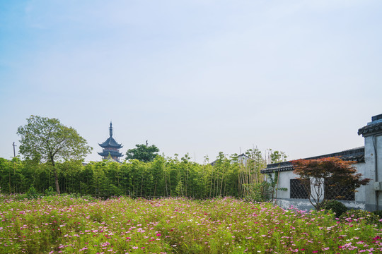 中国苏州古建筑和园林绿化