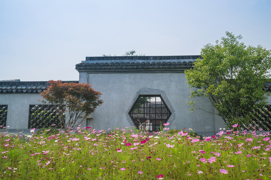 中国苏州古建筑和园林绿化