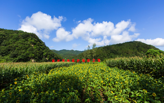 荆门马河风光