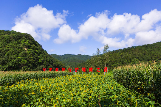 钱河湿地