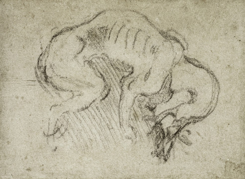 米開(kāi)朗琪羅米開(kāi)朗基羅素描畫(huà)