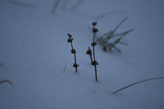 冰雪风光