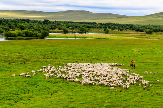 草原牧场骑马牧羊