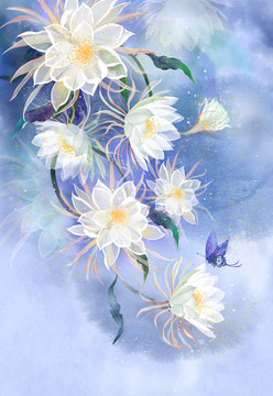 曇花