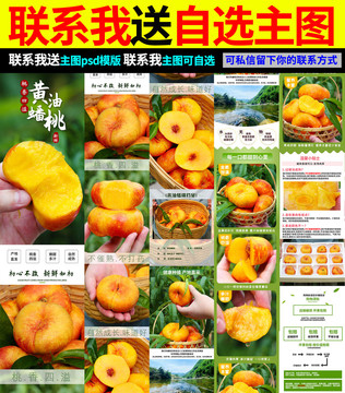 黃金油蟠桃詳情頁(yè)