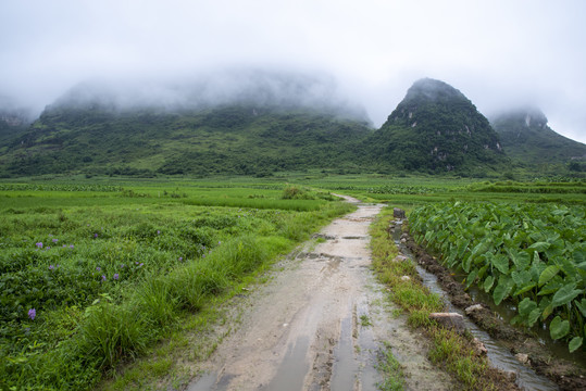 乡村泥巴路